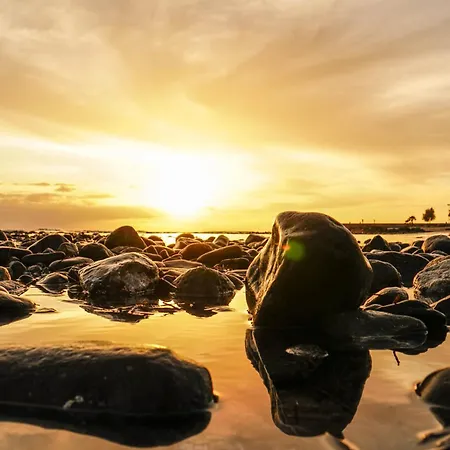 Σπίτι διακοπών Albaricoques