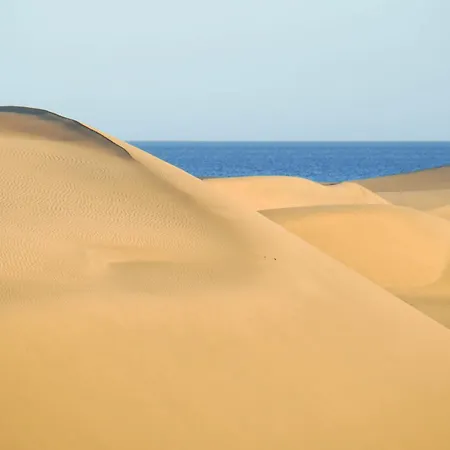 Albaricoques Hébergement de vacances Maspalomas (Gran Canaria)