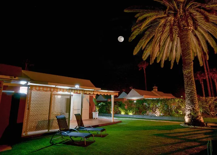 Albaricoques * Maspalomas (Gran Canaria)