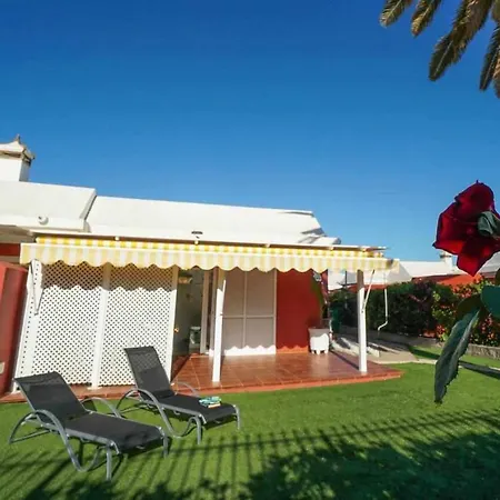 Albaricoques Maspalomas (Gran Canaria)