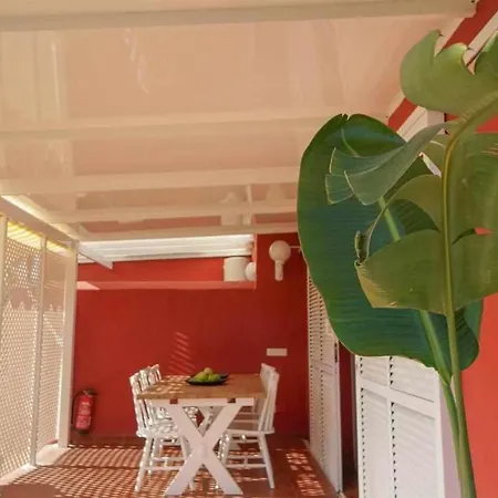 Albaricoques Maspalomas (Gran Canaria)