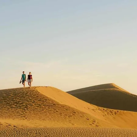 Nyaraló Albaricoques *