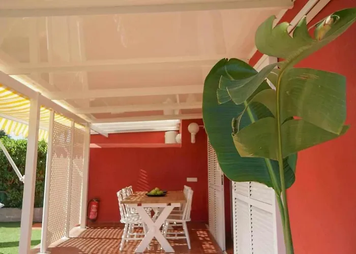 Albaricoques Maspalomas (Gran Canaria)