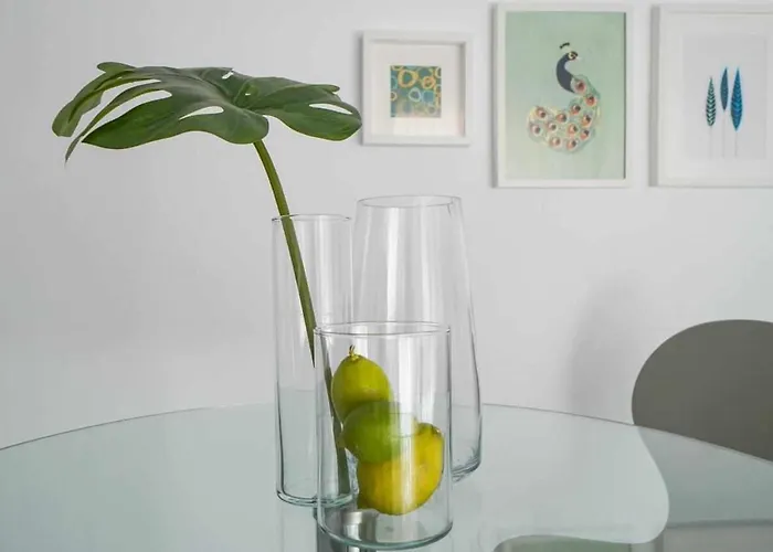 Albaricoques Maspalomas (Gran Canaria)