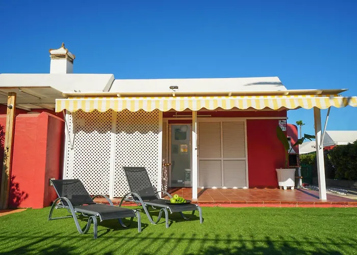 Albaricoques Maspalomas (Gran Canaria)